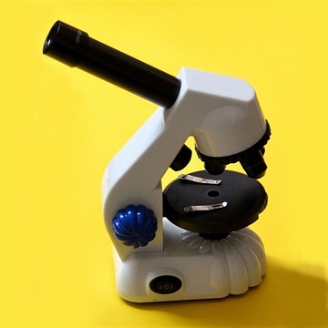 Mikroskop: duo-skop