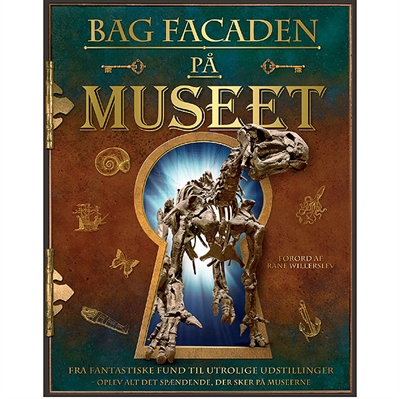 Bag facaden på museet