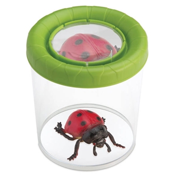 Mega insektglas