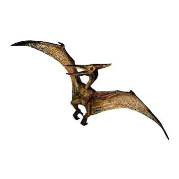 Pteranodon