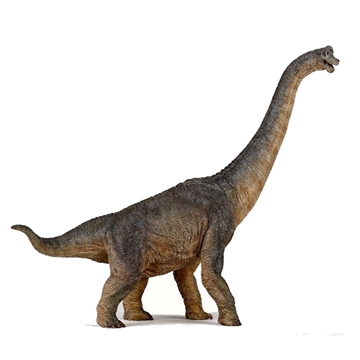 Brachiosaurus (langhals)