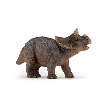 Triceratops unge