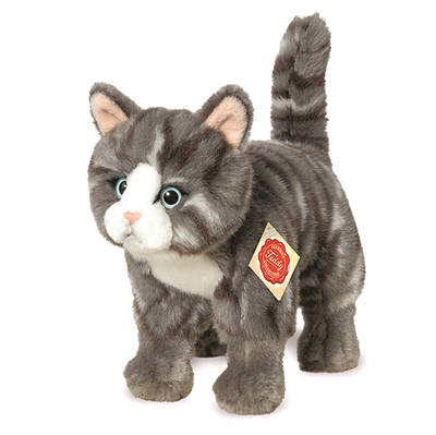 Gråstribet kat Teddy Hermann