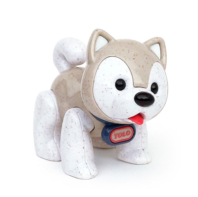 Tolo husky